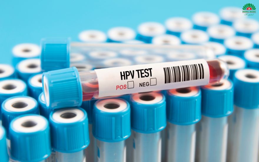 The HPV virus is the primary cause of cervical cancer.