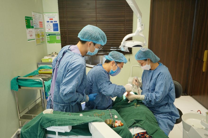 cấy ghép implant