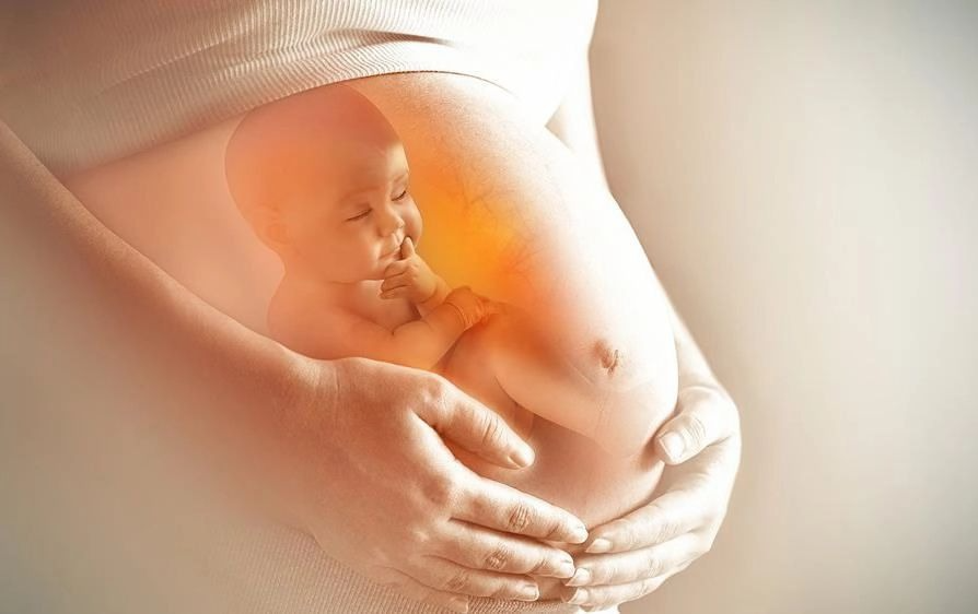 Trong thai kỳ, cơ thể mẹ hoạt động để nuôi cả mẹ và con