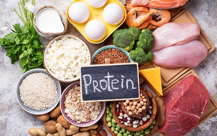 Các kháng thể, cytokine và nhiều enzyme miễn dịch đều được cấu tạo từ protein. 