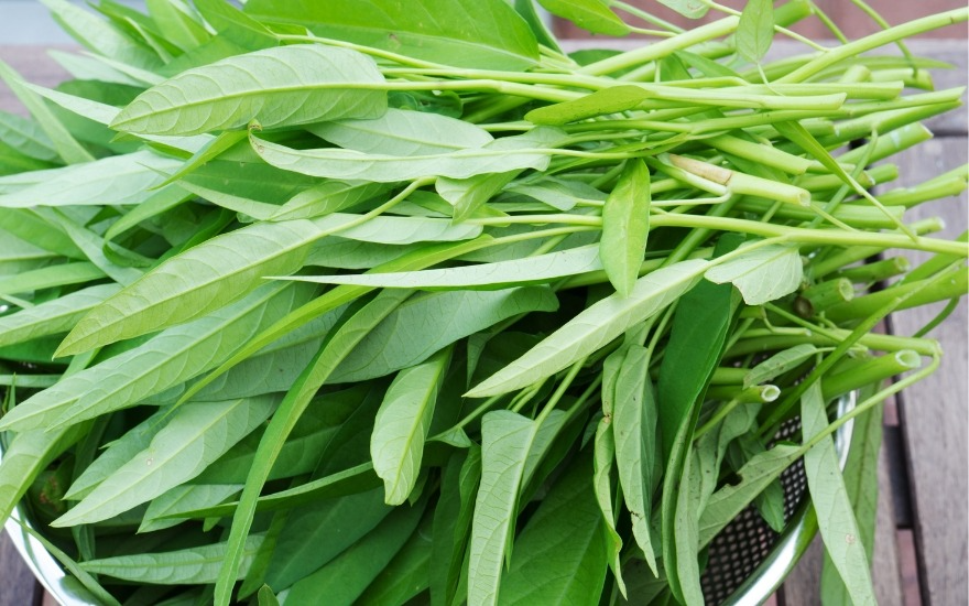 Rau muống là món ăn quen thuộc trong gia đình Việt