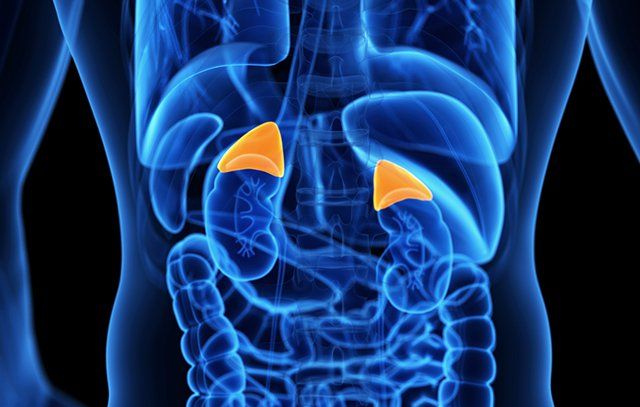  Tăng sản tuyến thượng thận bẩm sinh do rối loạn di truyền là một trong những nguyên nhân gây dậy thì sớm ở bé trai