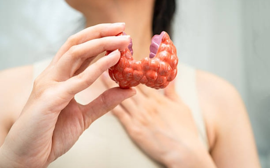 Khi thấy xuất hiện các triệu chứng nghi ngờ bệnh tuyến giáp bạn nên đi khám ngay để kịp thời điều trị