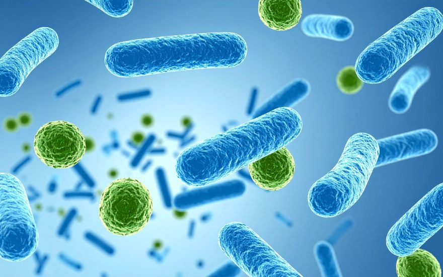 Vi khuẩn, virus và nấm là những tác nhân chính gây ra tình trạng viêm loét giác mạc cấp tính.