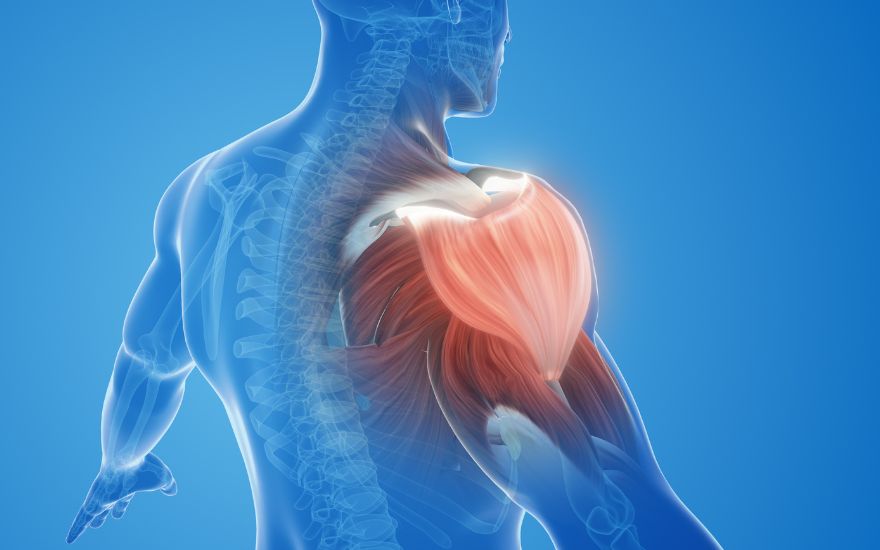 dau-keo-dai-hoac-yeu-tay-can-duoc-bac-si-kiem-tra-nguyen-nhan.jpg *Persistent pain or arm weakness requires medical evaluation to determine the cause*