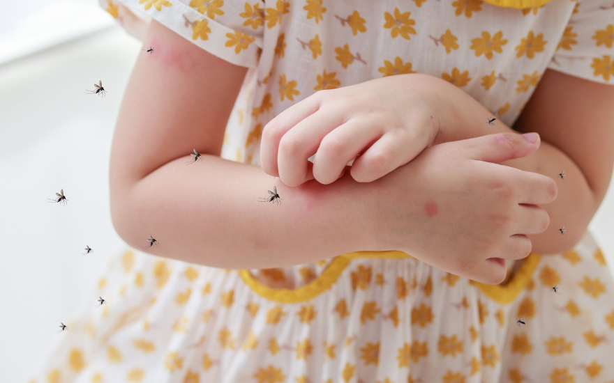 sot-xuat-huyet.png Sốt xuất huyết ở trẻ là bệnh truyền nhiễm do virus Dengue gây ra