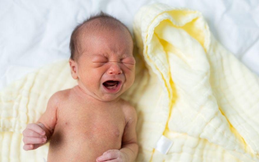 Phụ huynh cần đưa trẻ đi khám bác sĩ ngay lập tức nếu gỉ mắt có màu vàng đặc kèm theo triệu chứng quấy khóc, bỏ bú.