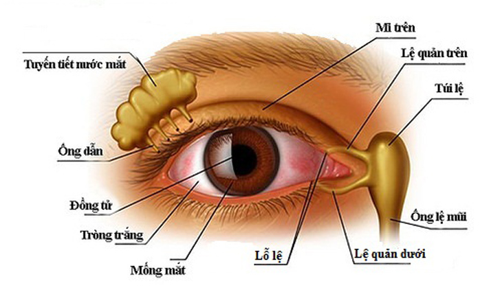 chảy nước mắt sống