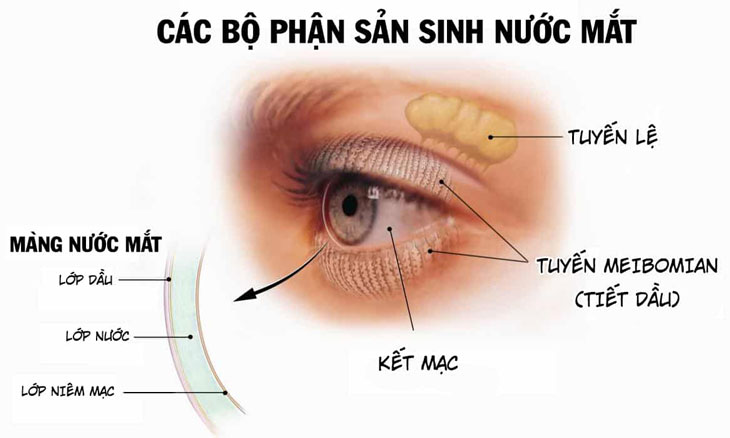 bệnh tắc đường lệ