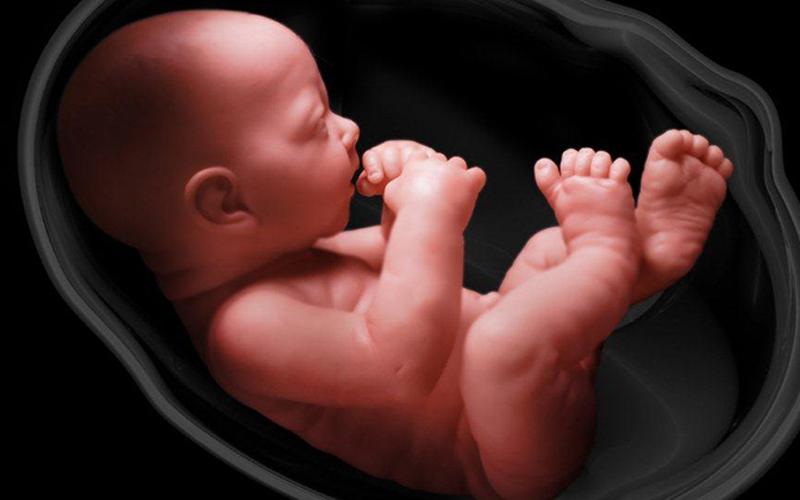 Mang thai trong tam cá nguyệt thứ hai