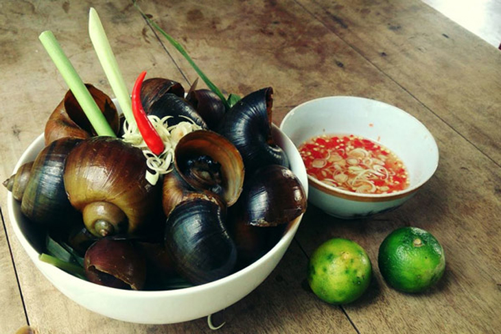 Mẹ bầu chỉ nên ăn một lượng ốc vừa phải