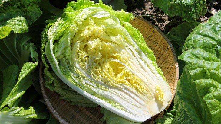 Rau cải