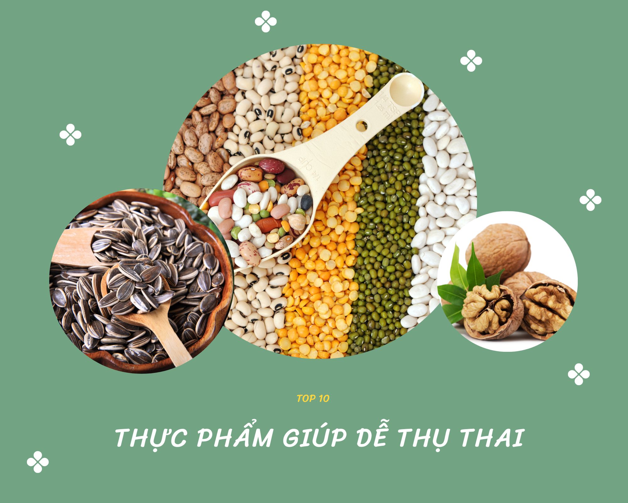 10 thực phẩm giúp dễ thụ thai cho các cặp vợ chồng đang mong con