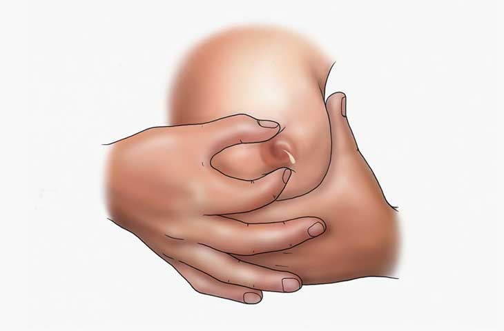 Kich-sua-bang-cach-cho-con-bu-truc-tiep