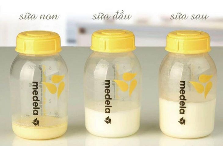 sữa non