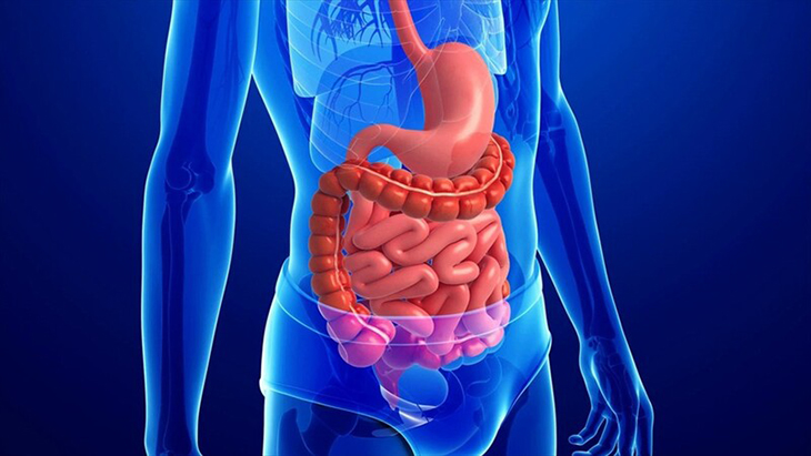 Hội chứng ruột kích thích có tiêu chảy