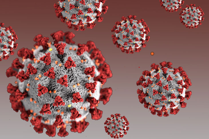 Virus được xem là nguyên nhân chính gây nên tình trạng suy giảm trí nhớ