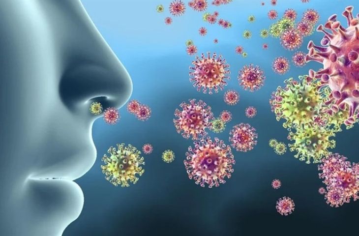 Virus SARS-CoV-2 tấn công gây tổn thương khứu giác