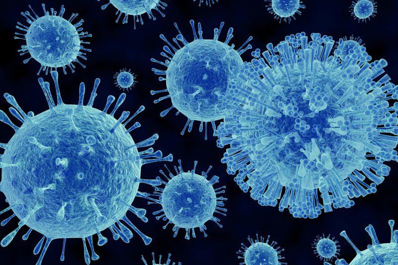 COVID-19 xâm nhập đường tiêu hóa bằng cách các gai của virus gắn vào các tế bào của hệ thống ACE2