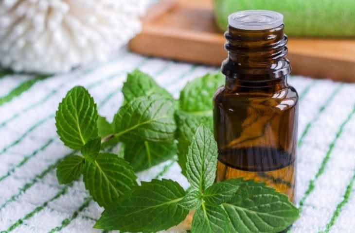 Tinh dầu bạc hà có chứa menthol giúp bé dễ thở nên có thể dùng để chữa ngạt mũi cho trẻ