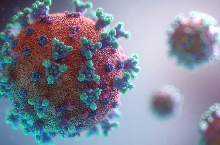 Virus SARS-CoV-2 có mặt nhiều trong cơ quan sinh sản của cả nam và nữ