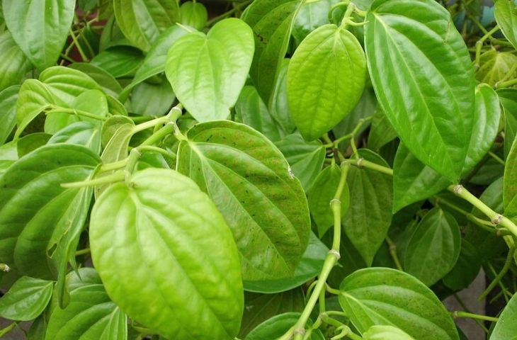 tắm cho trẻ