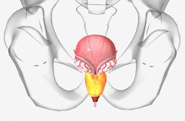 nguyên nhân đau lưng cấp