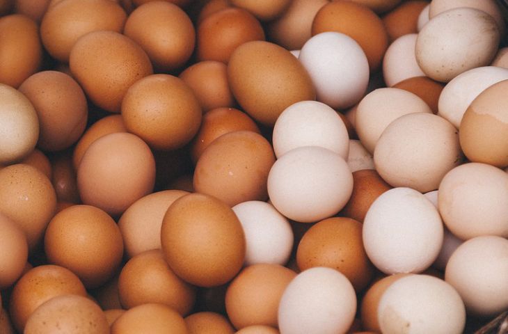 loãng xương nên ăn gì