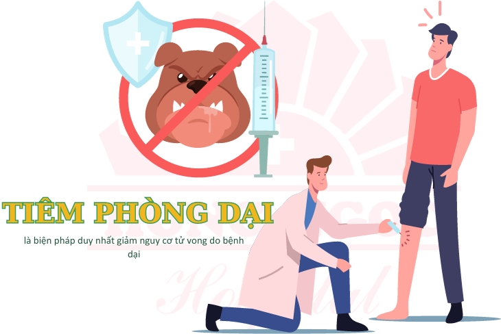Tiêm phòng dại