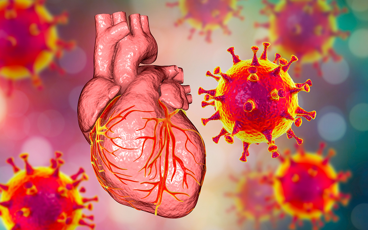 Các loại virus gây bệnh xâm nhập và tấn công gây ra bệnh viêm cơ tim